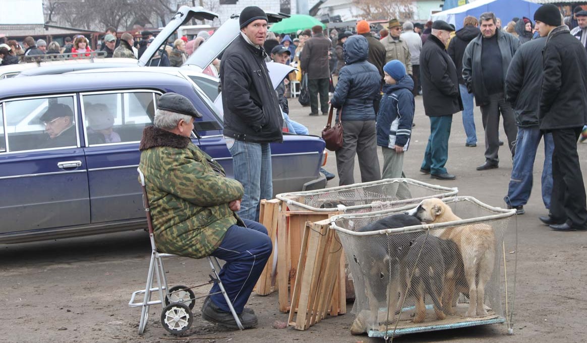 В Воронеже «Птичий рынок» планируют продать за 52 млн рублей