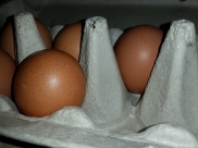 У крупного производителя яиц нашли на предприятии птичий грипп.