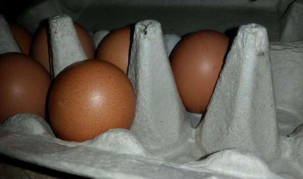 У крупного производителя яиц нашли на предприятии птичий грипп.