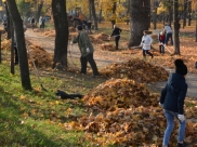 Субботник.