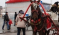 В аварию попала гужевая повозка.В аварию попала гужевая повозка.
