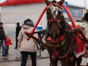 В аварию попала гужевая повозка.В аварию попала гужевая повозка.