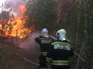 Пожар у полигона.