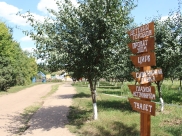 В Воронежской области создадут свой экопарк.