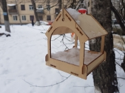 Мороз в Воронеже.