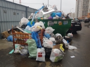 Воронежцы могут жаловаться на переполненные мусорки.