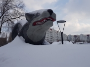 Зима в Воронеже.