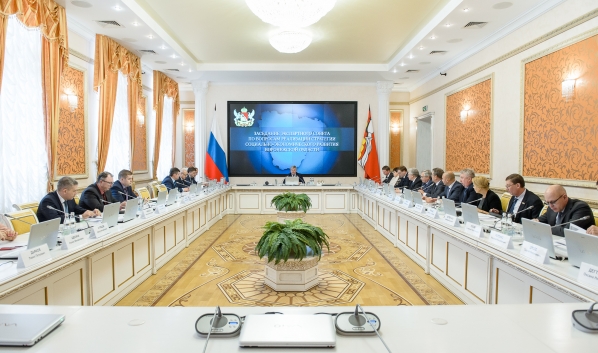 Заседание экспертного совета по вопросам реализации стратегии социально-экономического развития Воронежской области.