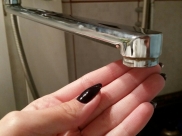 Воронежцы останутся без воды.