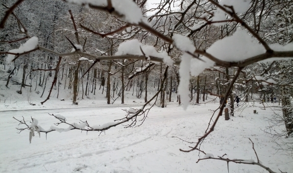 На неделе в городе около нуля градусов.