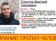 Разыскивают подростка.