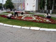 Эксперты оценили благоустройство Воронежа и области.