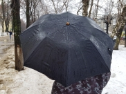Погода в Воронеже.