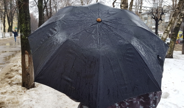 Погода в Воронеже.