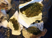 У мужчины нашли коноплю.