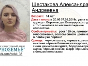 Пропавшая девушка.