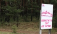 Машину бросили в лесополосе.