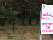 Машину бросили в лесополосе.