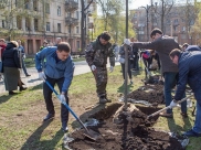 Владимир Нетёсов принял участие в субботнике.