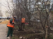 Сотрудники УК на субботнике.
