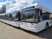 Новые автобусы.