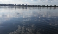 Тело мужчины нашли в водохранилище.
