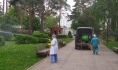 Парки и скверы обрабатывают от насекомых.