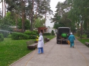 Парки и скверы обрабатывают от насекомых.