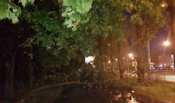 Деревья попадали на улицах Воронежа.