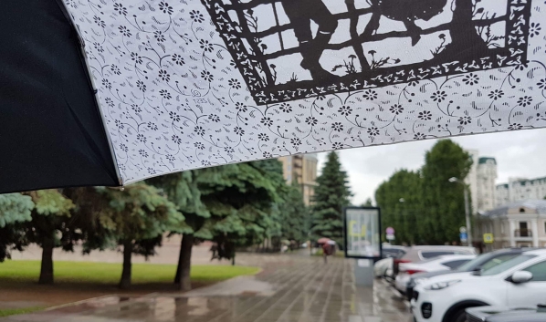 Во второй неделе пройдут дожди.