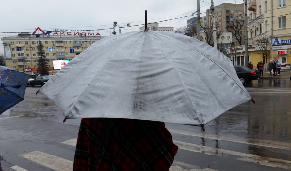 Непогода ожидается в Воронежской области.