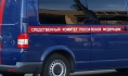 СК проводит проверку по факту случившегося.