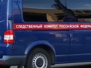 СК проводит проверку по факту случившегося.