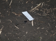 Нож, которым убили женщину.