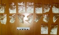 Наркотик изъяли.