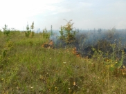 Пожар в «Дивногорье».