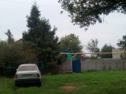 Воронежец выращивал коноплю у себя во дворе.