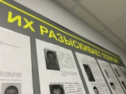 Полиция ищет преступников.