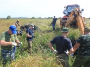 В поле под Воронежем нашли фрагменты самолета.
