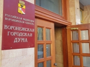 Воронежская городская Дума.