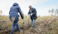 Под Воронежем в рамках акции «Живи, лес!» высадили сеянцы сосны в лесничестве.