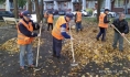 Сотрудники управляющих компаний вышли на субботники.