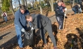 Субботник в Бринкманском саду.