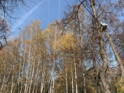 Осень в Воронеже.
