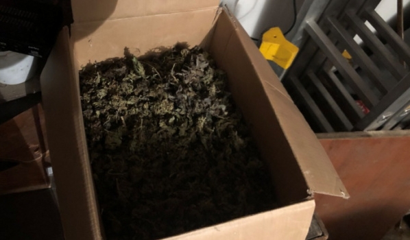 Коробка с марихуаной.