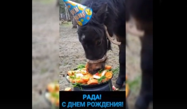 Пони Раду поздравили с днем рождения.