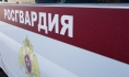 Девочку нашли сотрудники Росгвардии.