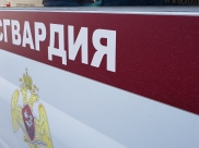Девочку нашли сотрудники Росгвардии.