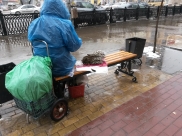 В полку самозанятых скоро прибудет.