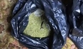 У воронежца обнаружили марихуану.